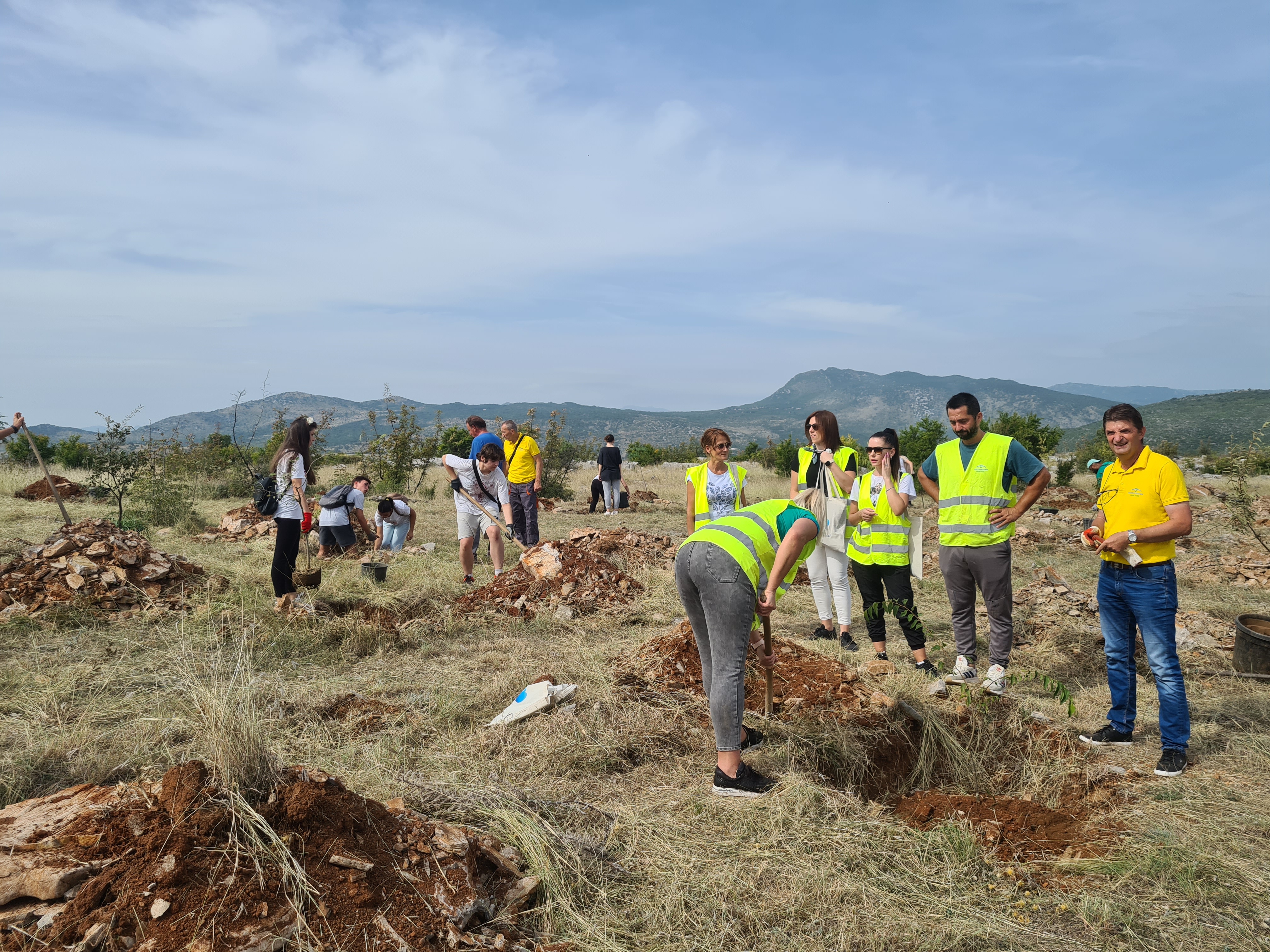 Počelo sistemsko pošumljavanje Lješkopoljske Gorice