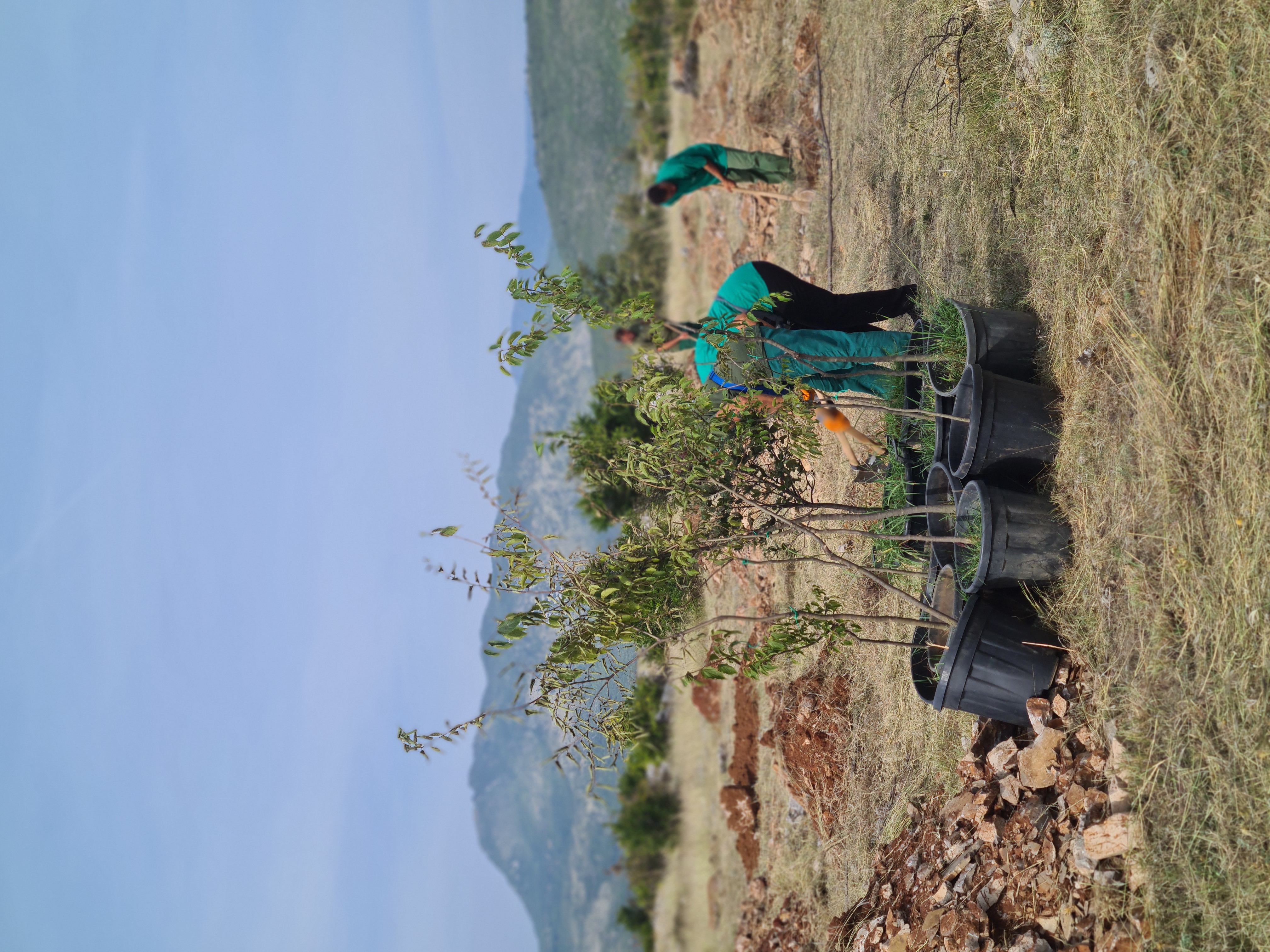 Počelo sistemsko pošumljavanje Lješkopoljske Gorice