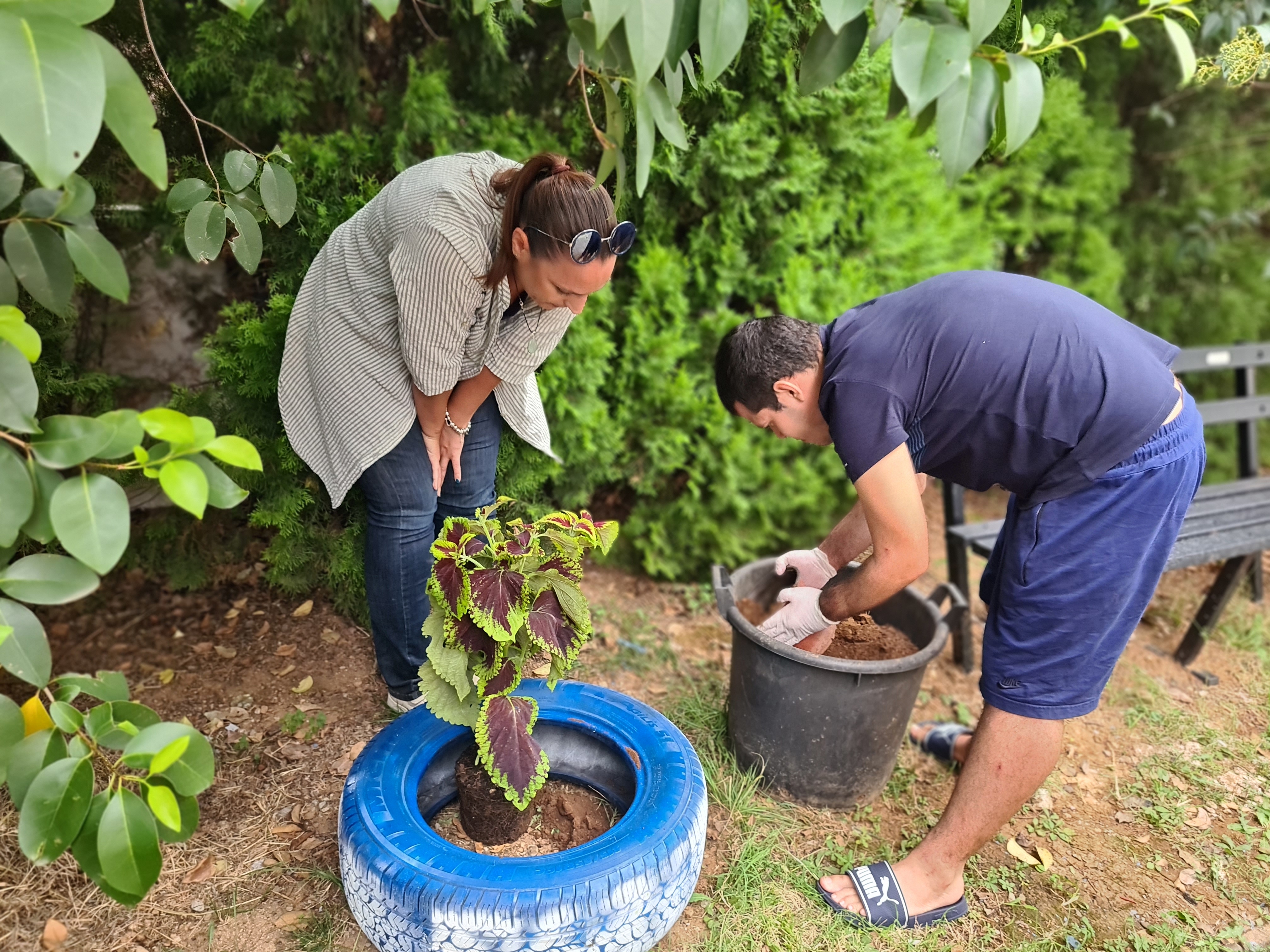 Zelenilo doniralo sadnice JU "Dnevni centar za djecu i omladinu sa smetnjama i teškoćama u razvoju"; Klijenti oplemenili dvorište centra