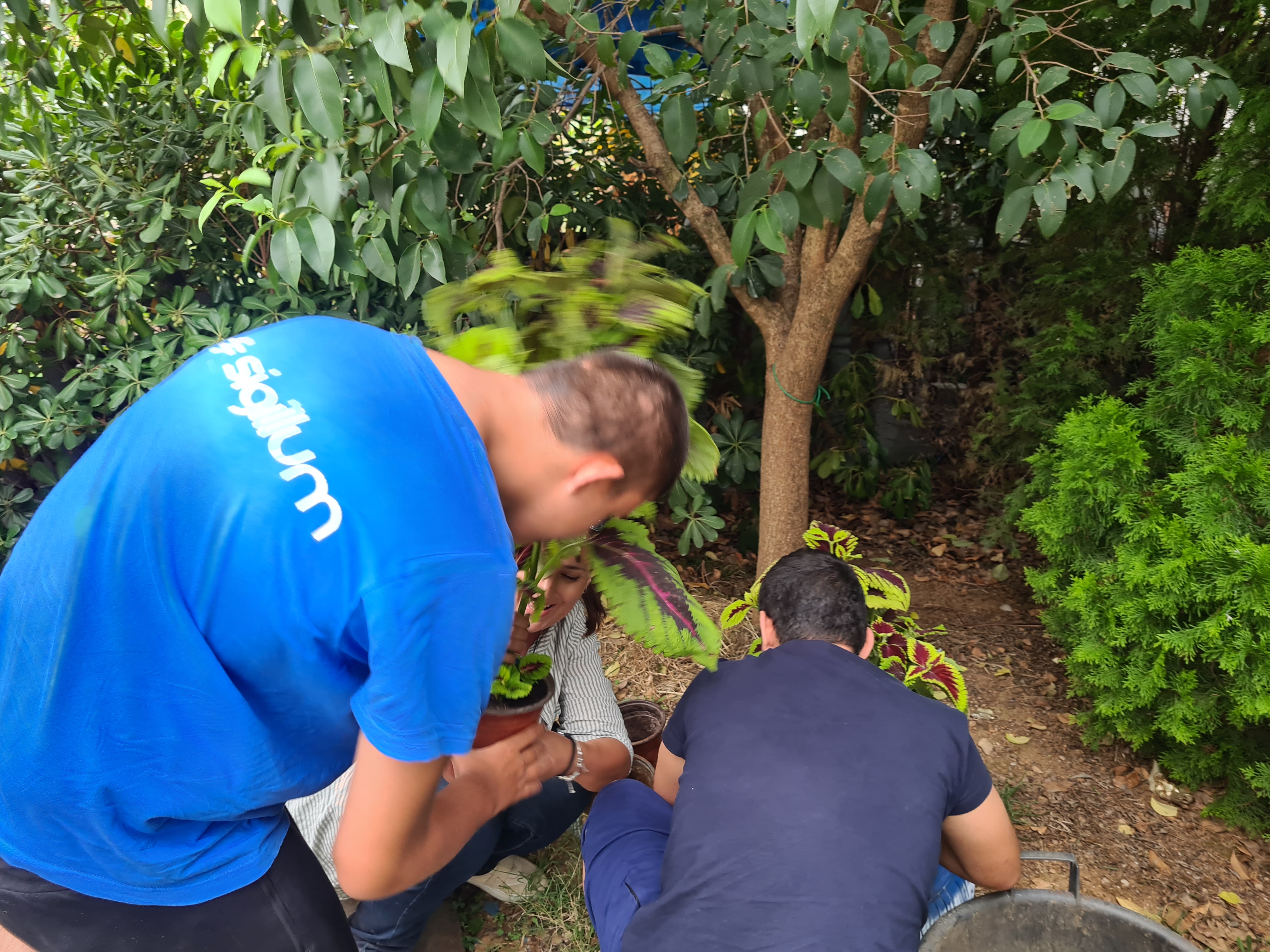 Zelenilo doniralo sadnice JU "Dnevni centar za djecu i omladinu sa smetnjama i teškoćama u razvoju"; Klijenti oplemenili dvorište centra