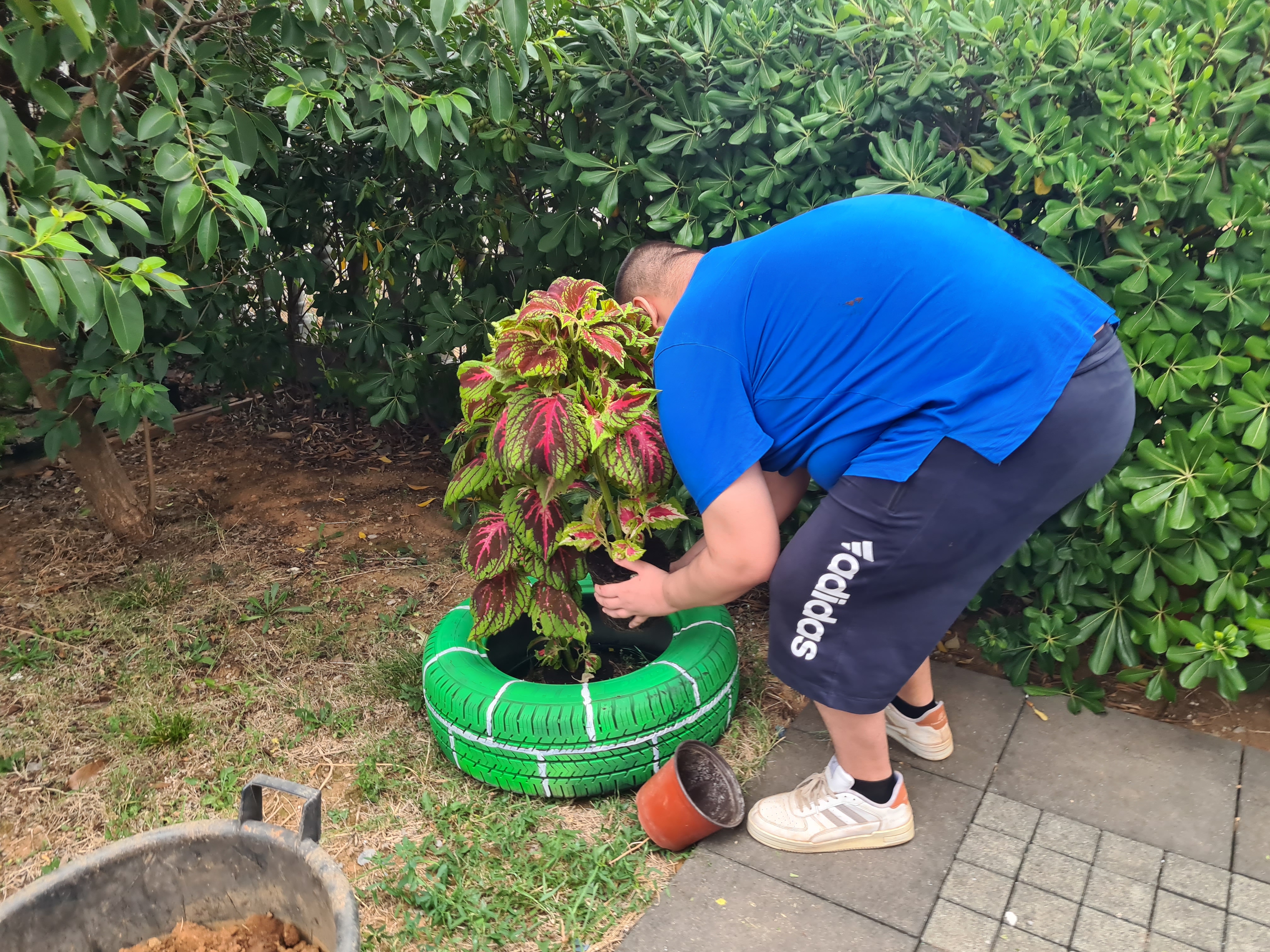 Zelenilo doniralo sadnice JU "Dnevni centar za djecu i omladinu sa smetnjama i teškoćama u razvoju"; Klijenti oplemenili dvorište centra