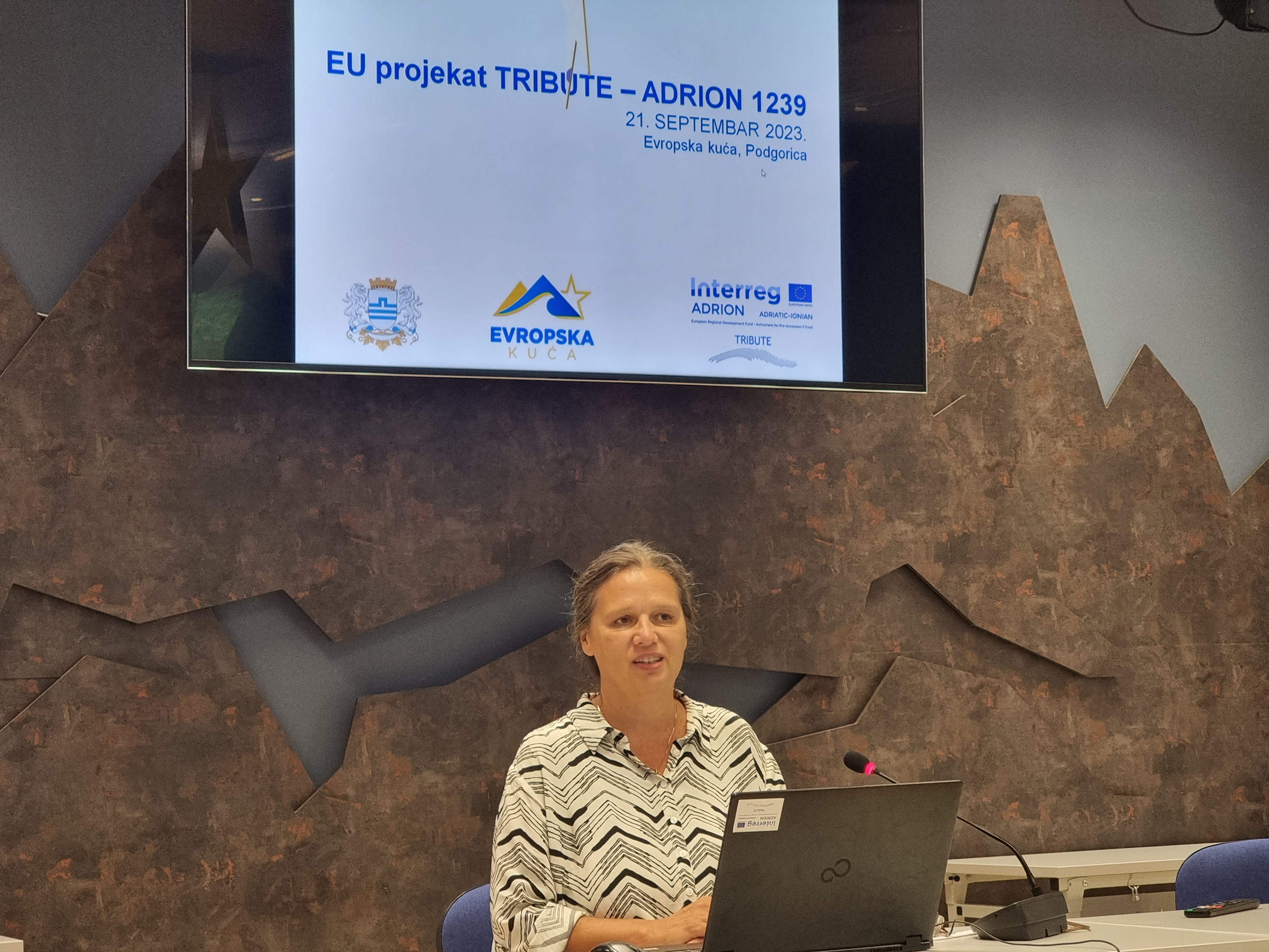 Radionica o održivoj urbanoj mobilnosti; Konstruktivan razgovor sa odbornicima u Skupštini Glavnog grada; Predstavljeni rezultati projekta TRIBUTE