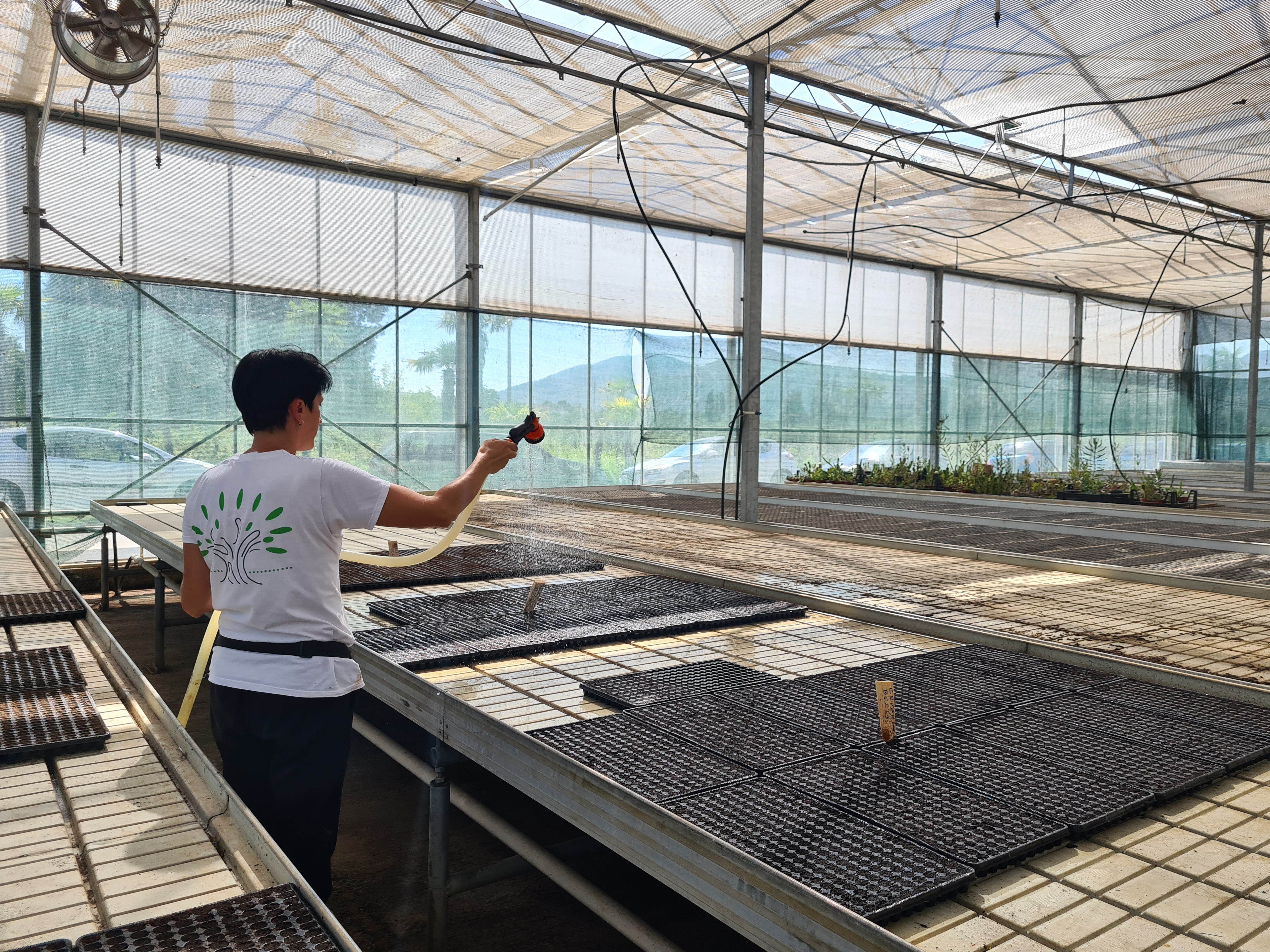 Intenzivirani radovi na proširenju kapaciteta rasadničke proizvodnje