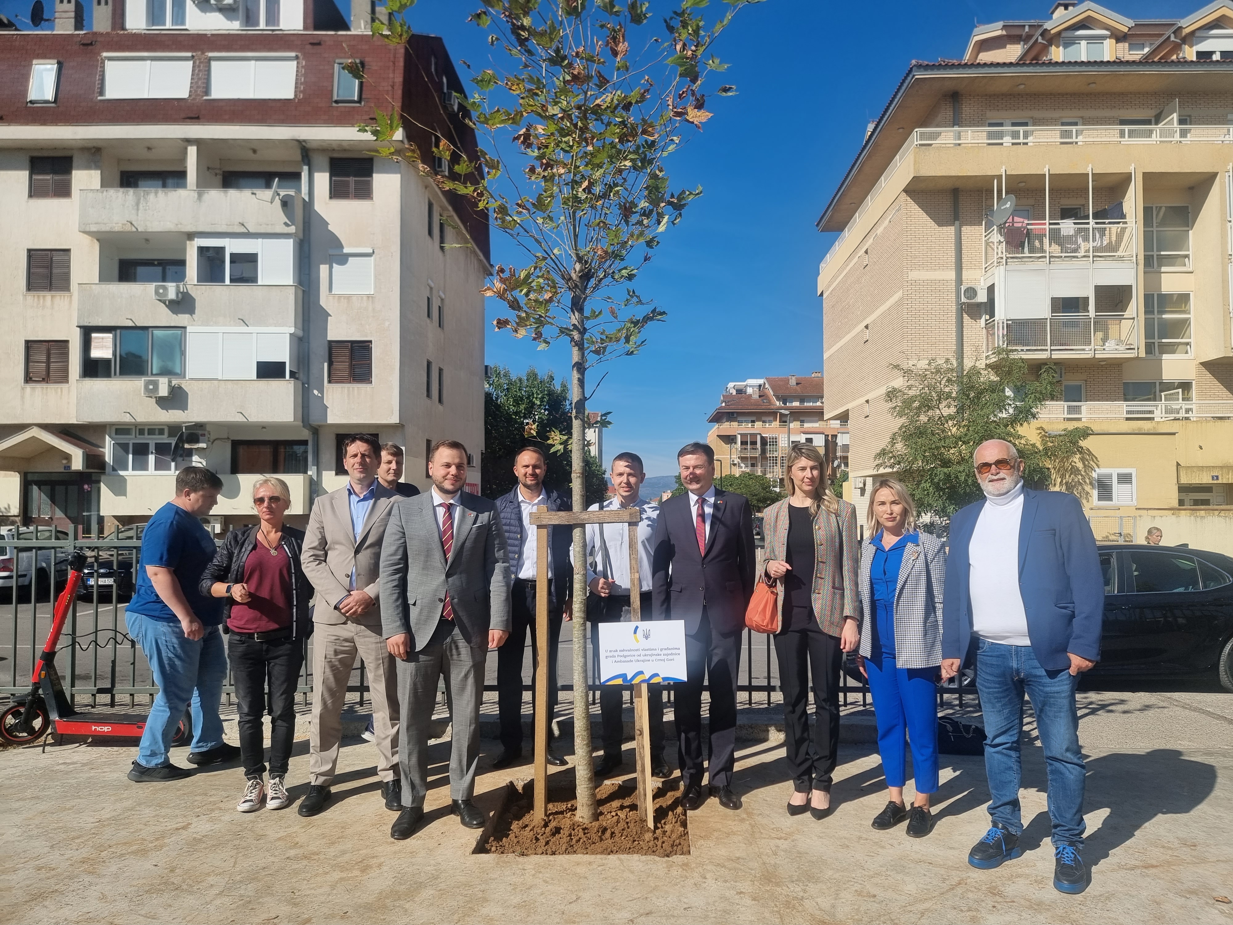 Platan kao simbol zahvalnosti Ukrajine Podgorici i Crnoj Gori zasađen u parku na Starom aerodromu