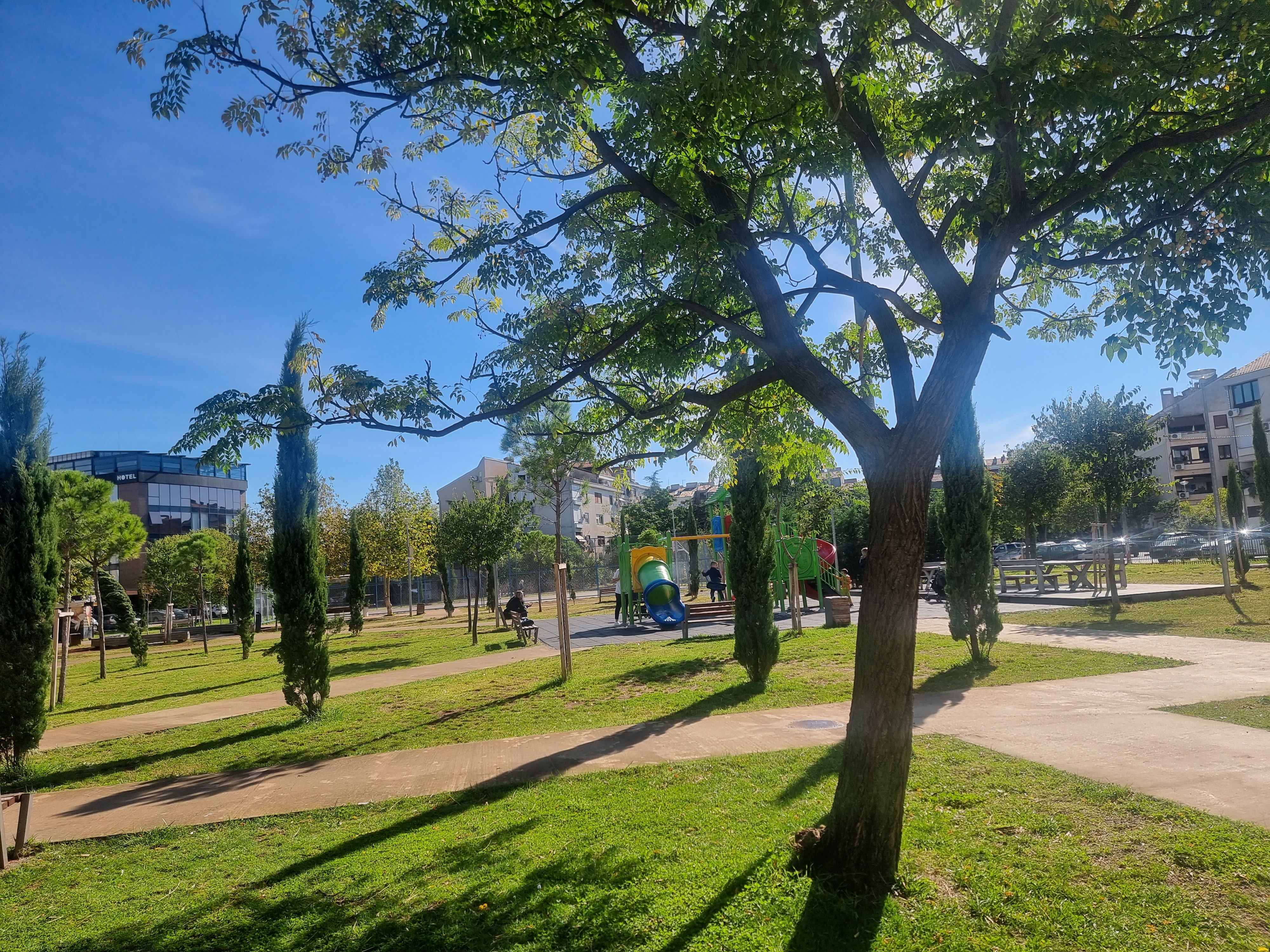 Platan kao simbol zahvalnosti Ukrajine Podgorici i Crnoj Gori zasađen u parku na Starom aerodromu