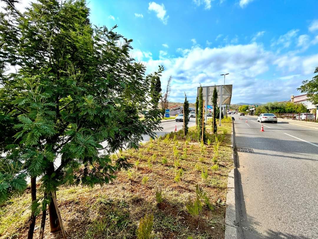 Radovi na pejzažnom uređenju Bulevara 21.maj u završnoj fazi