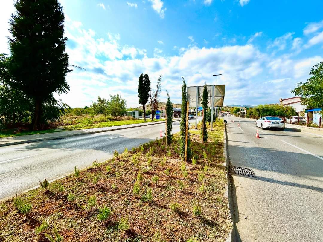 Radovi na pejzažnom uređenju Bulevara 21.maj u završnoj fazi