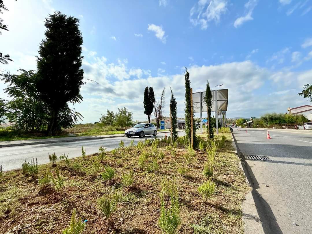 Radovi na pejzažnom uređenju Bulevara 21.maj u završnoj fazi