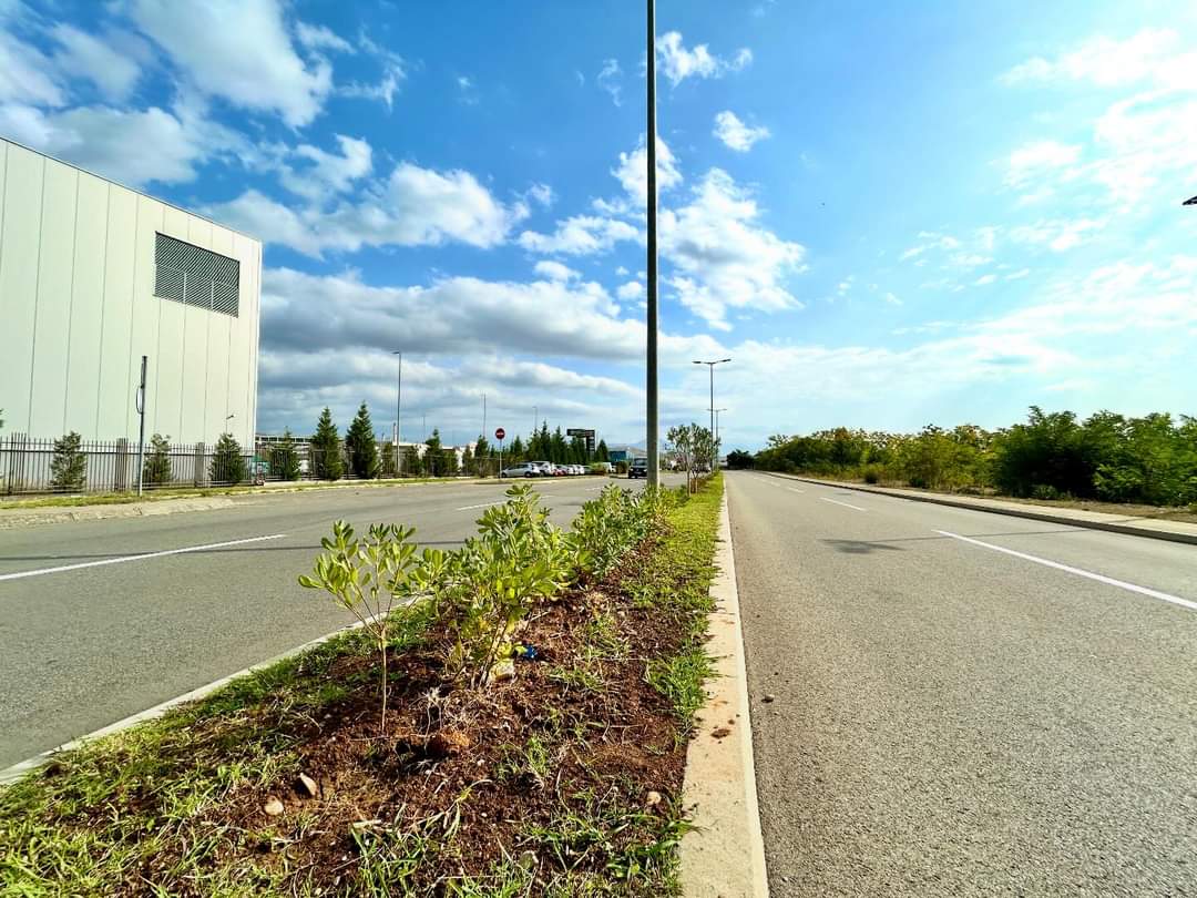 Radovi na pejzažnom uređenju Bulevara 21.maj u završnoj fazi