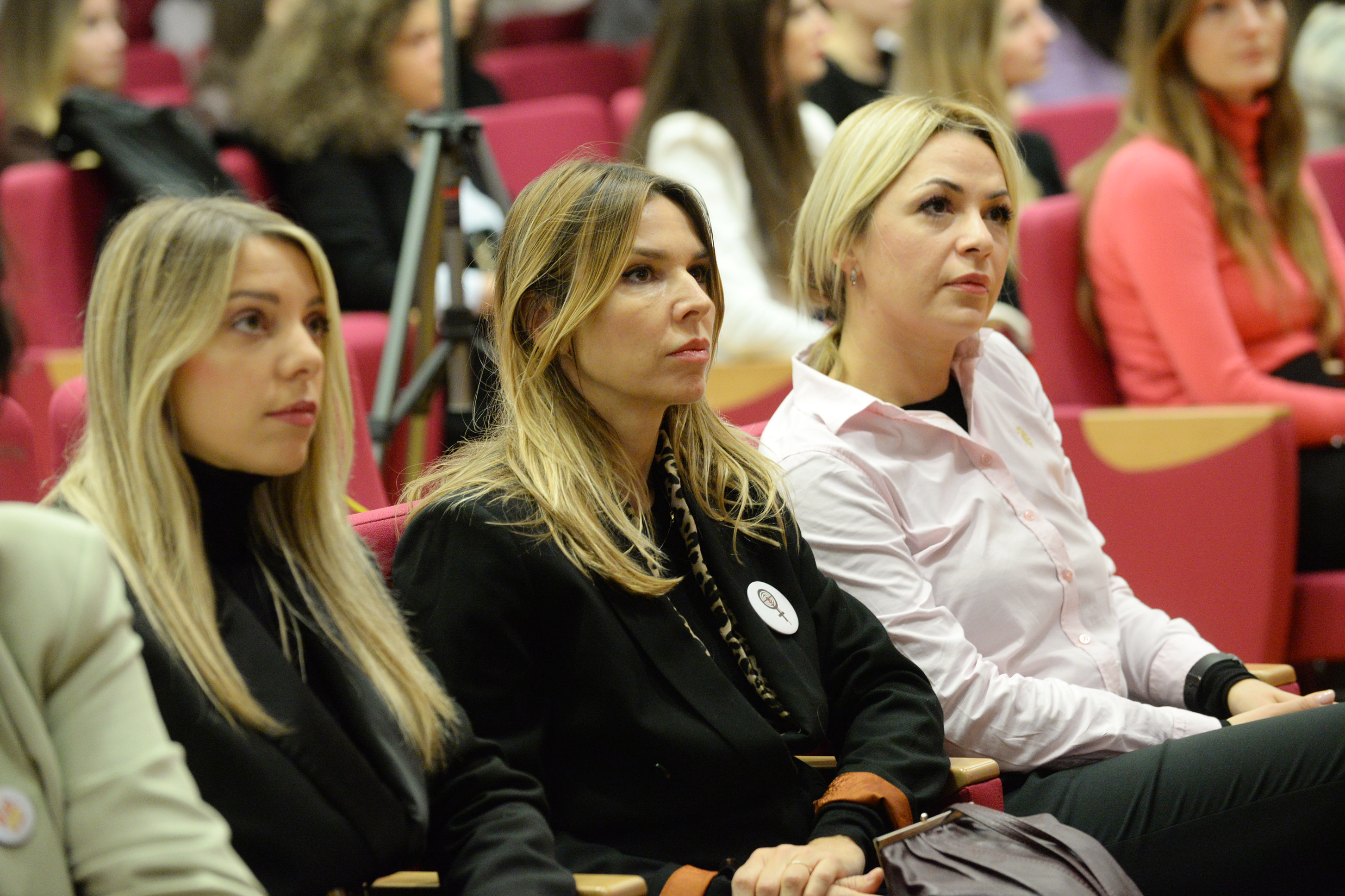 Panel-diskusija u Skupštini Glavnog grada: Dosljednošću i upornošću protiv nasilja nad ženama