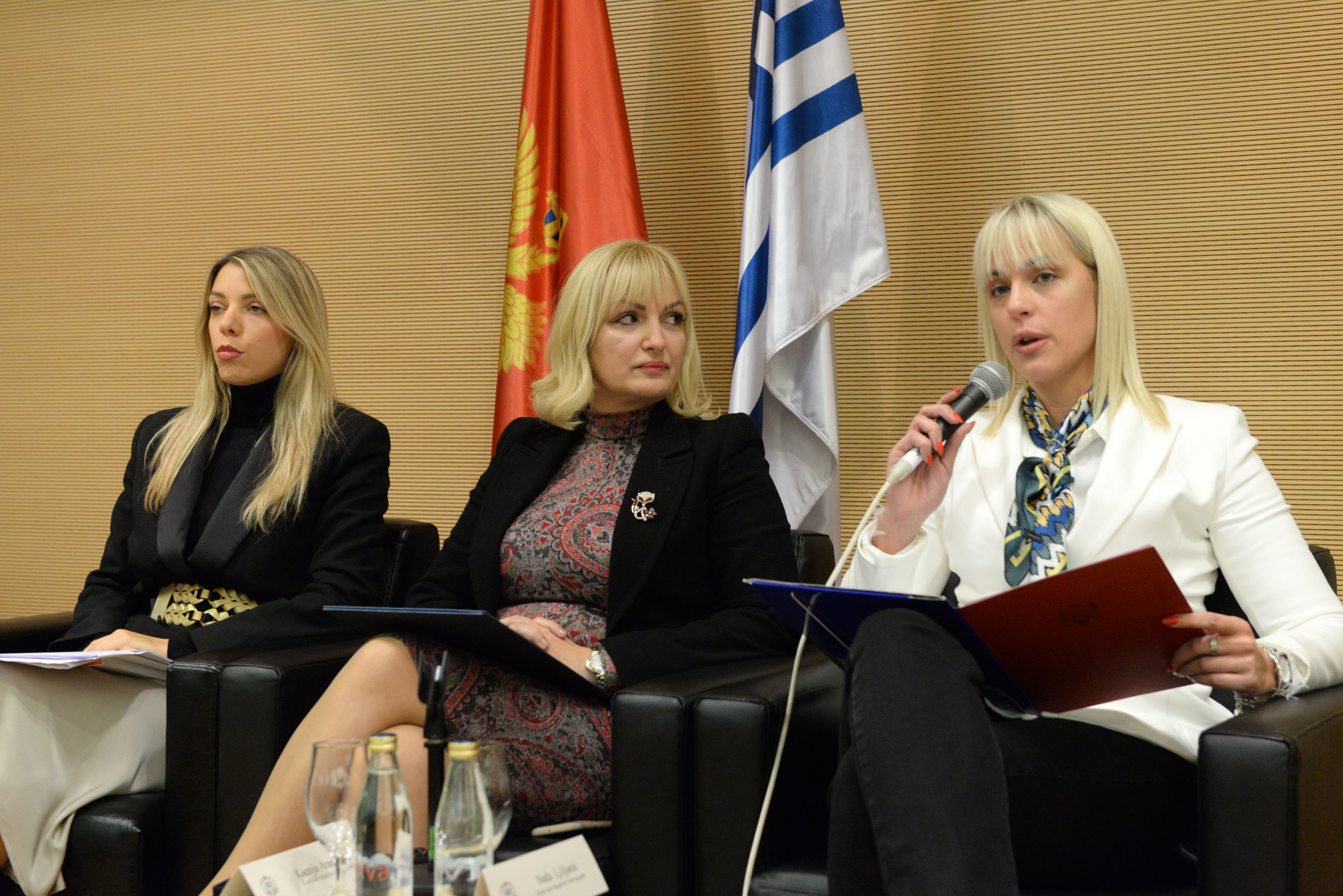 Panel-diskusija u Skupštini Glavnog grada: Dosljednošću i upornošću protiv nasilja nad ženama