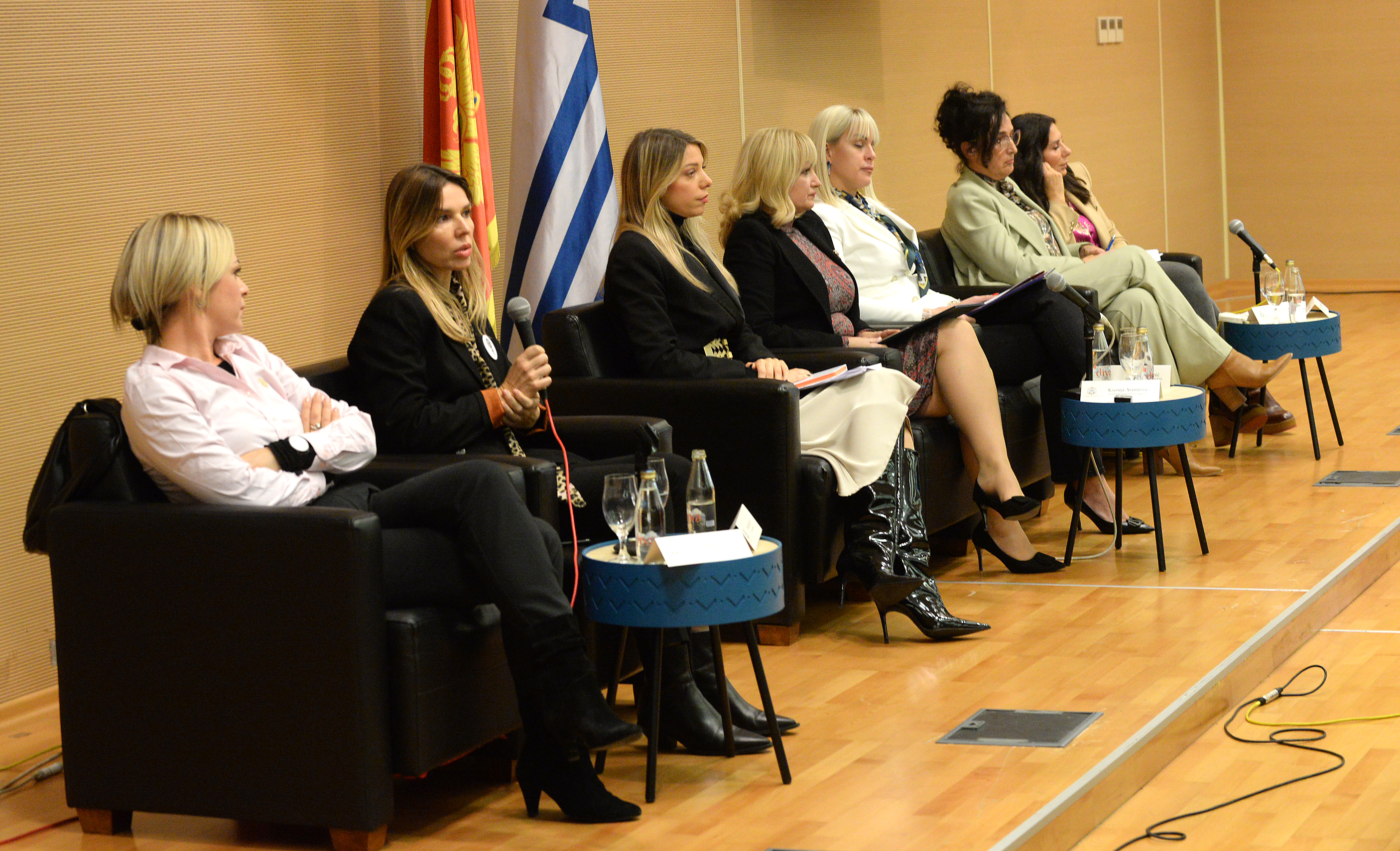 Panel-diskusija u Skupštini Glavnog grada: Dosljednošću i upornošću protiv nasilja nad ženama