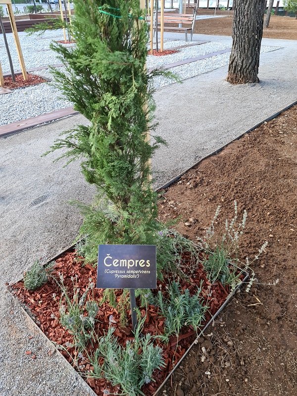 Otvoren Podgorički park- autentična zelena oaza u srcu grada