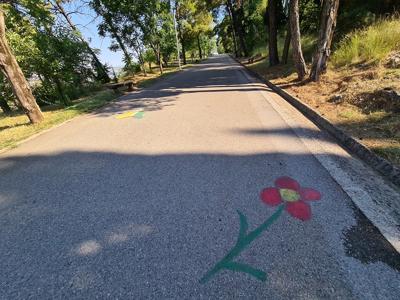 Počela revitalizacija park šume  Ljubović: Uskoro više od 2.000 sadnica, novi mobilijar i obnovljen sportski poligon;