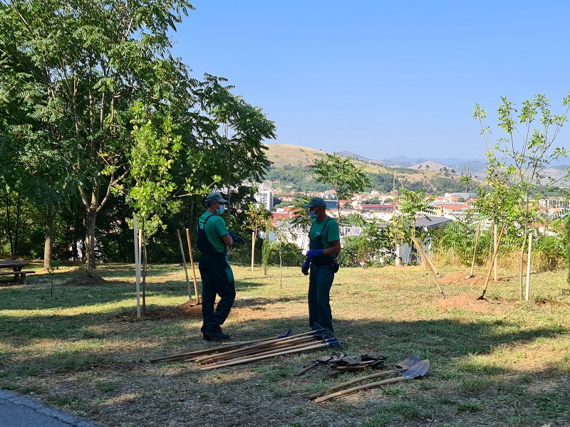 Počela revitalizacija park šume  Ljubović: Uskoro više od 2.000 sadnica, novi mobilijar i obnovljen sportski poligon;