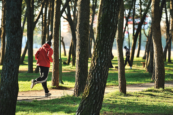 Počinju radovi na uređenju sportsko rekreativne zone park - šume Tološi