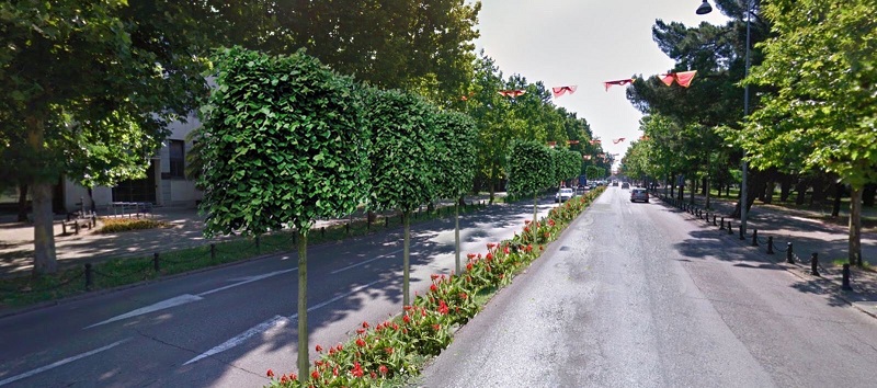 Počeli radovi na pejzažnom uređenju radzdjelnih ostrva na Bulevaru Svetog Petra Cetinjskog