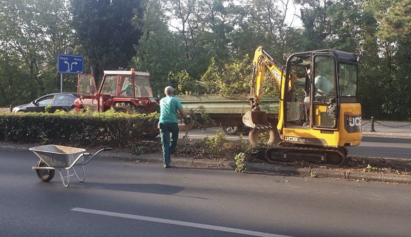 Počeli radovi na pejzažnom uređenju radzdjelnih ostrva na Bulevaru Svetog Petra Cetinjskog