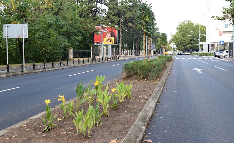 Novo zelenilo na Bulevaru Svetog Petra Cetinjskog