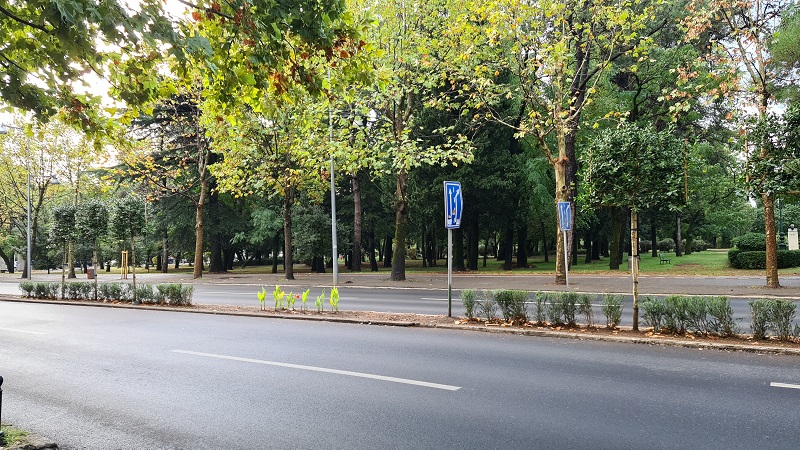 Novo zelenilo na Bulevaru Svetog Petra Cetinjskog