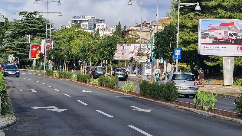 Novo zelenilo na Bulevaru Svetog Petra Cetinjskog