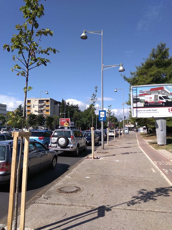 Novi drvored na Bulevaru Svetog Petra Cetinjskog