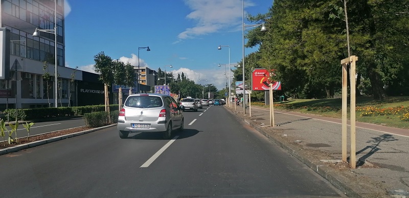 Novi drvored na Bulevaru Svetog Petra Cetinjskog