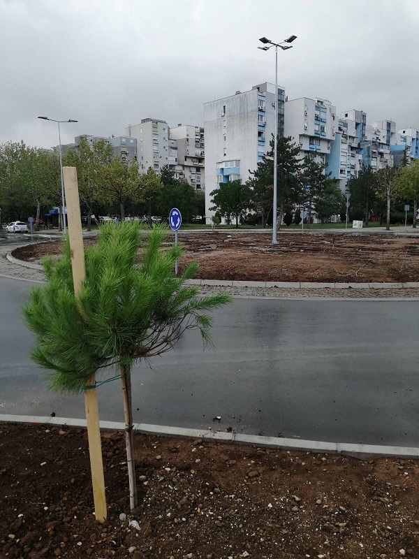 Ekipe gradskog Zelenila pejzažno uređuju kružni tok u Bloku V