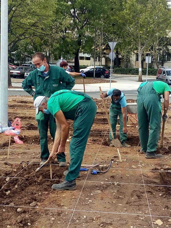 Ekipe gradskog Zelenila pejzažno uređuju kružni tok u Bloku V