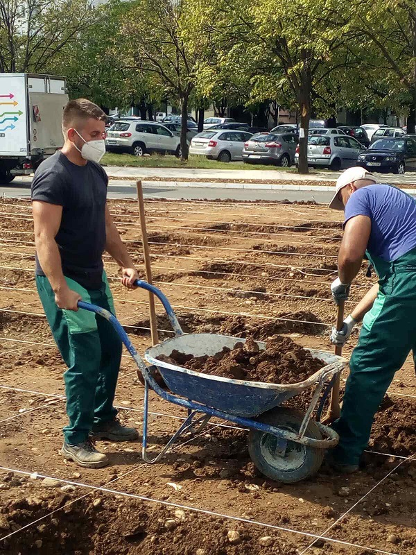 Ekipe gradskog Zelenila pejzažno uređuju kružni tok u Bloku V