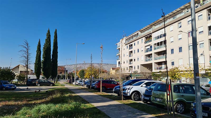 Gradsko Zelenilo zasadilo platane i u Bloku IX