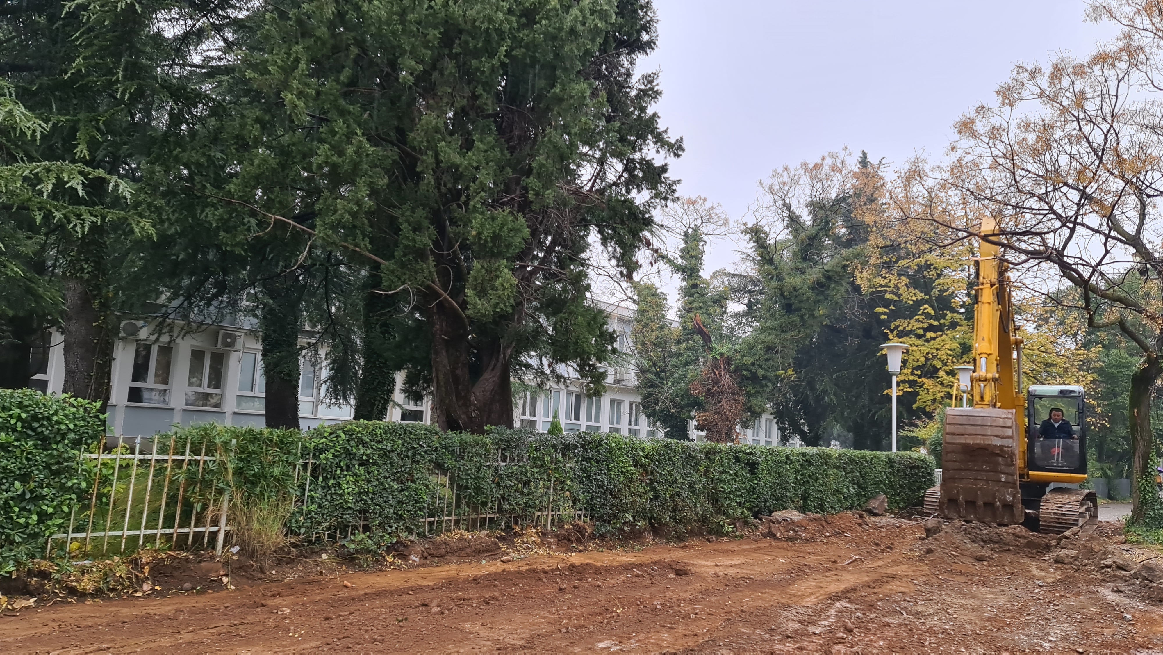 Počela rekonstrukcija dijela Njegoševe ulice kod Gradskog stadiona
