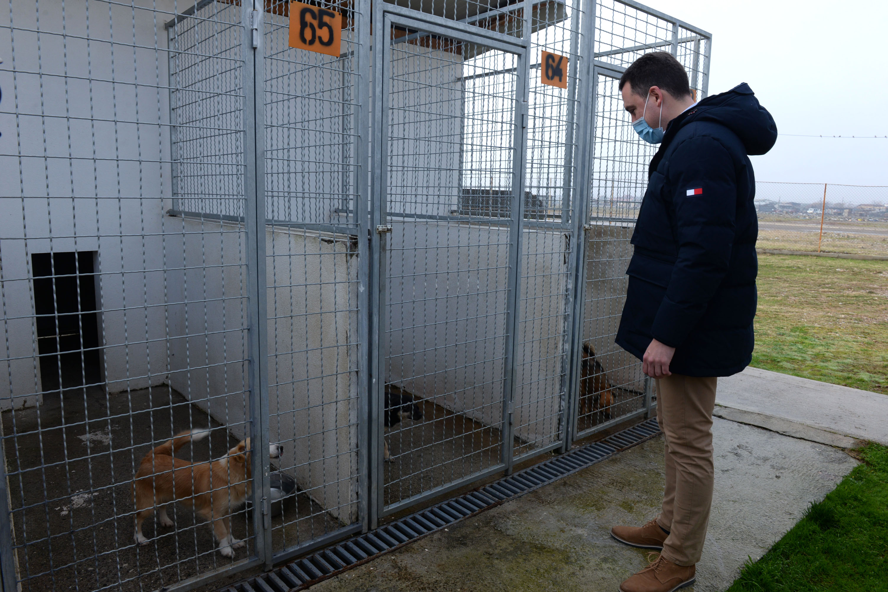 Vuković u posjeti podgoričkom azilu za napuštene pse: Odnos prema kućnim ljubimcima je veoma važno pitanje koje umnogome reflektuje stanje društvene zajednice