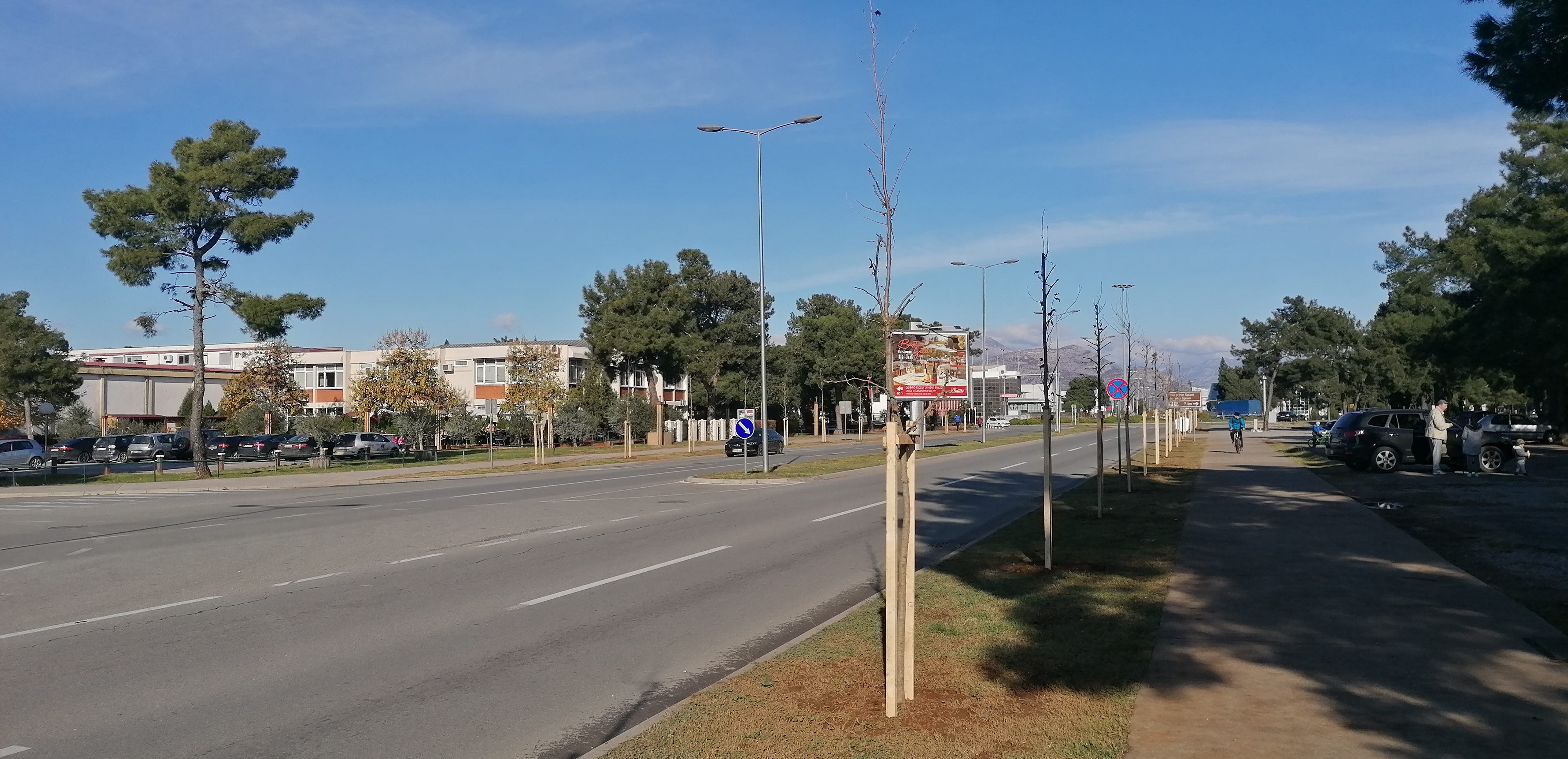 Novi drvored na Bulevaru Šarla de Gola