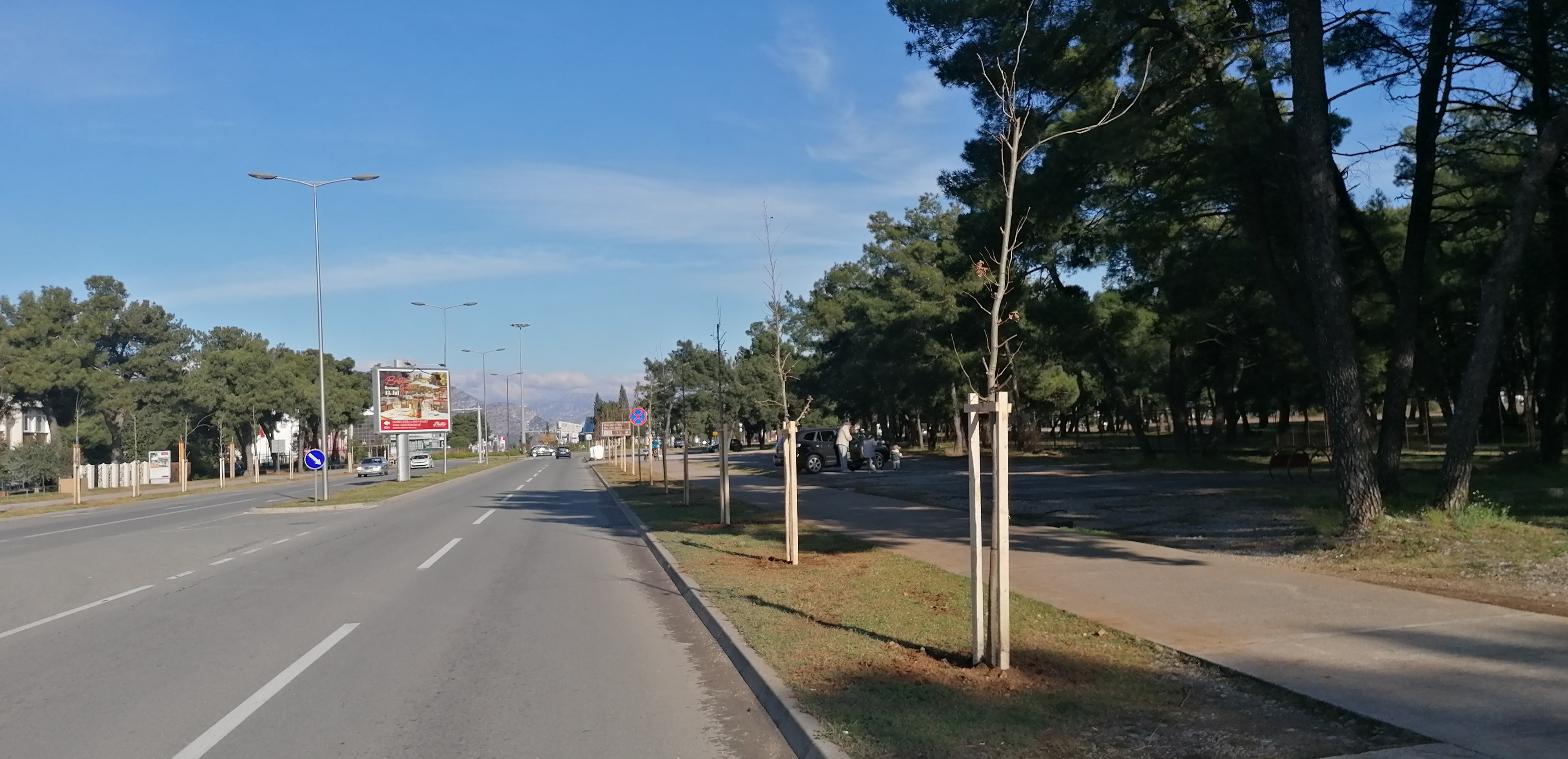 Novi drvored na Bulevaru Šarla de Gola