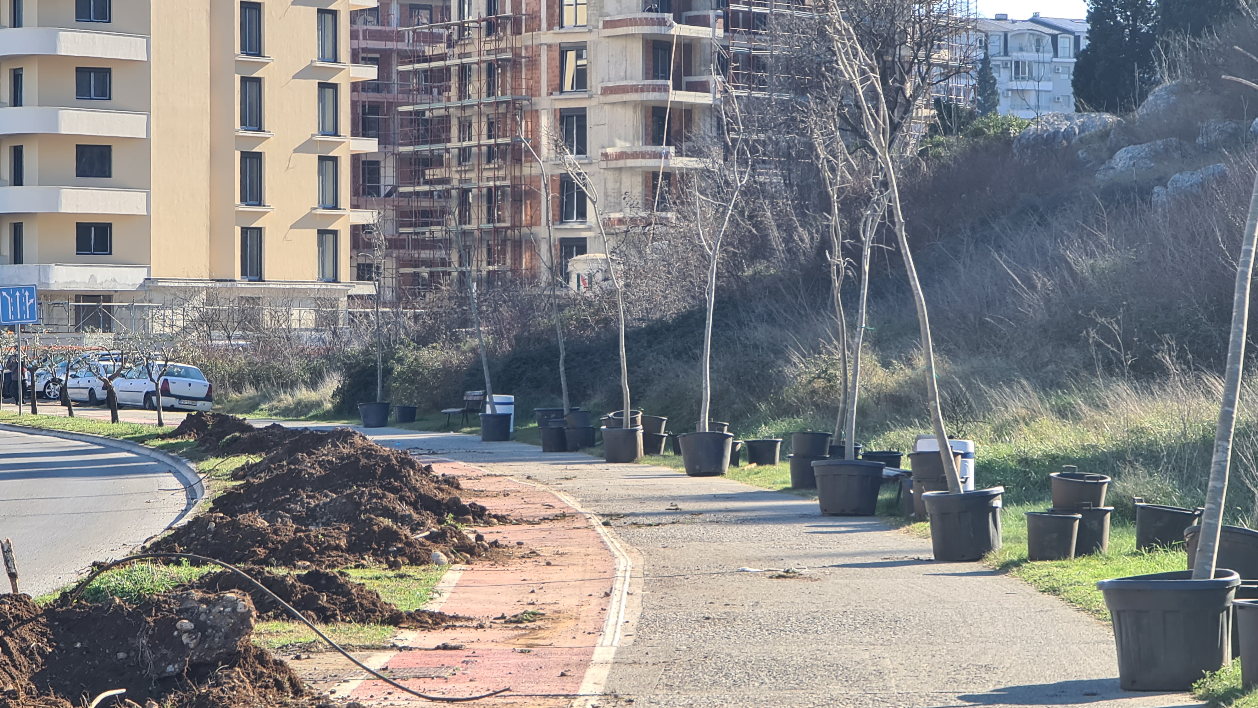 Bulevar Crnogorskih serdara dobija novi drvored košćela