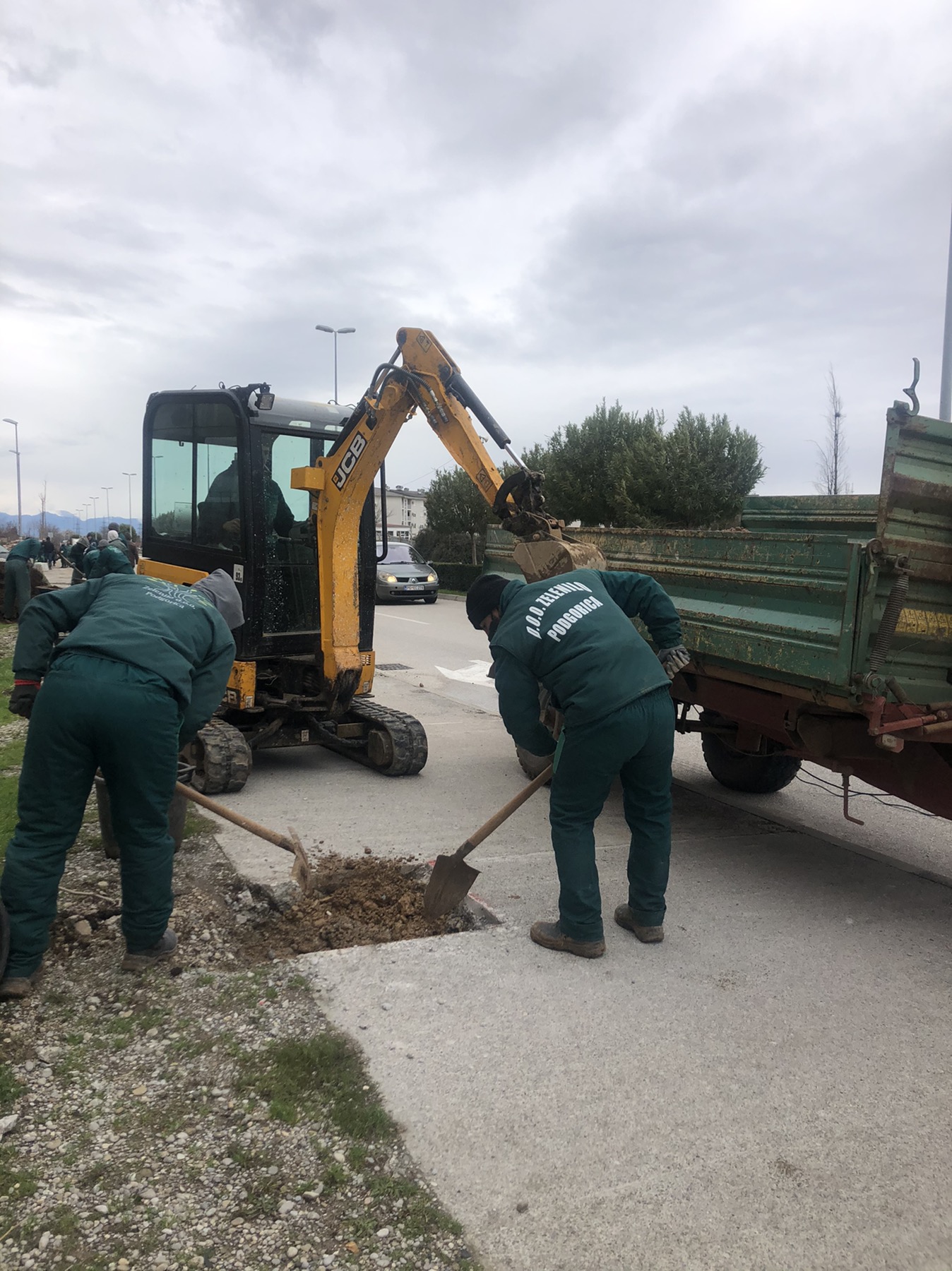 Bulevar Stanka Radonjića dobija novi drvored od 63 odrasle sadnice
