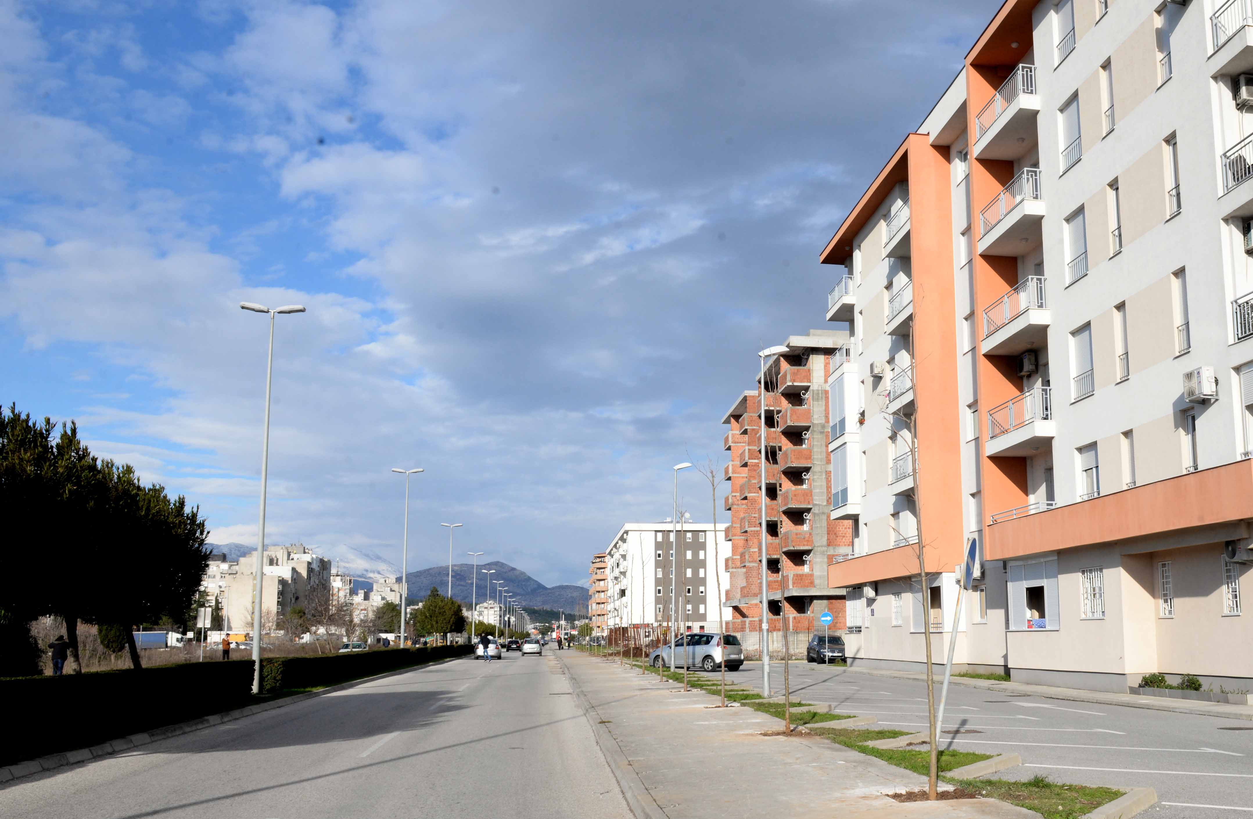 Bulevar Stanka Radonjića dobija novi drvored od 63 odrasle sadnice