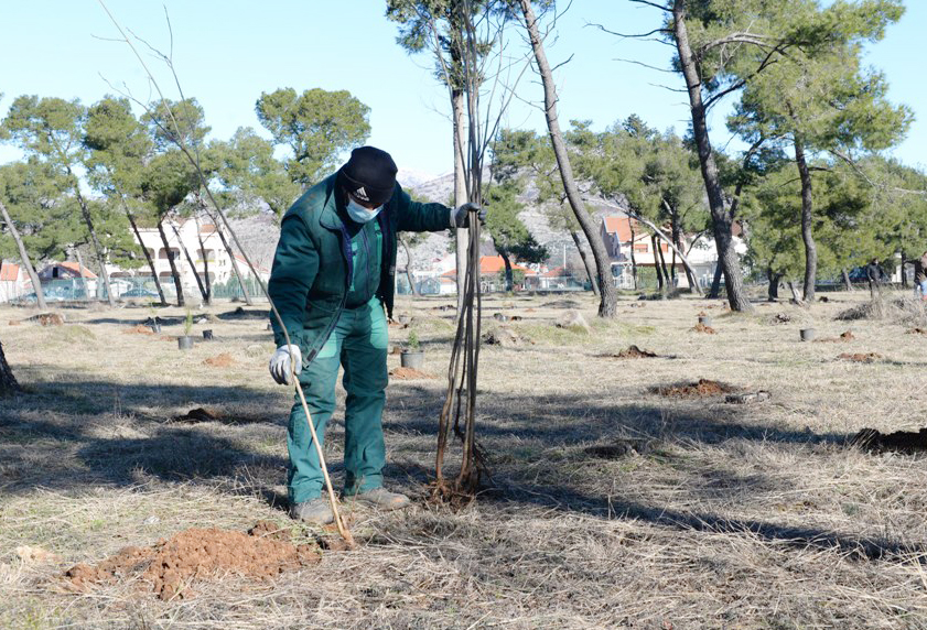 Akcija pošumljavanja; Park-šuma Zlatica od danas bogatija za 500 sadnica