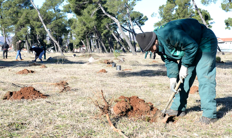 Akcija pošumljavanja; Park-šuma Zlatica od danas bogatija za 500 sadnica