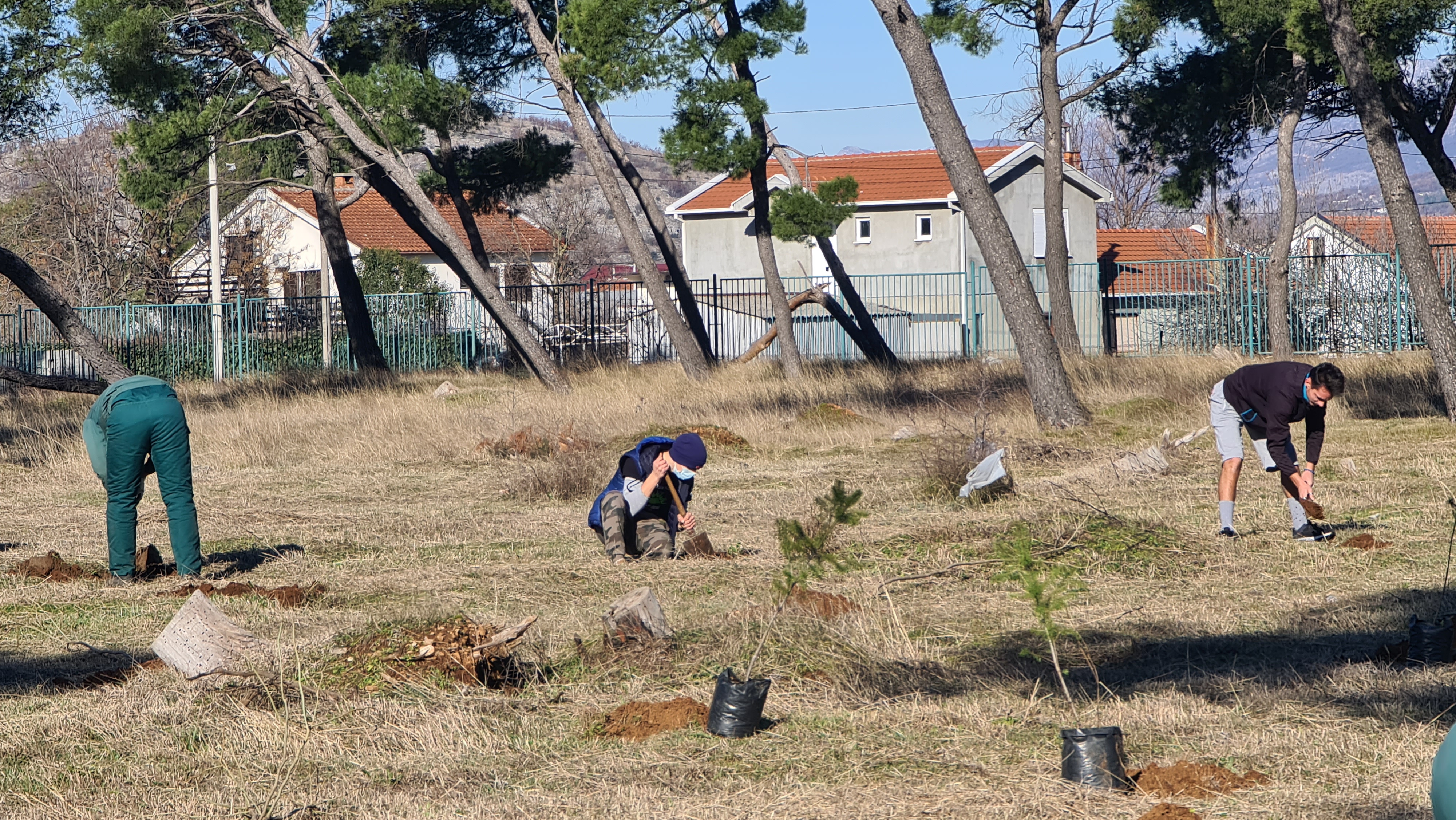 Akcija pošumljavanja; Park-šuma Zlatica od danas bogatija za 500 sadnica