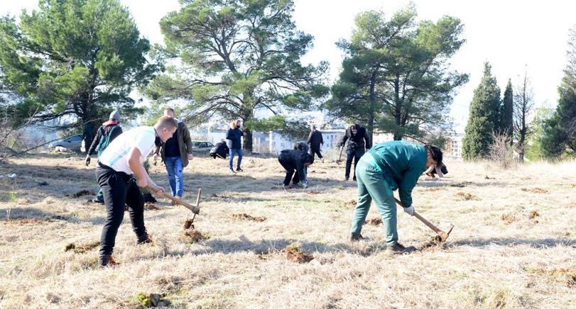Realizovana još jedna akcija pošumljavanja - Na Gorici posađeno 500 sadnica