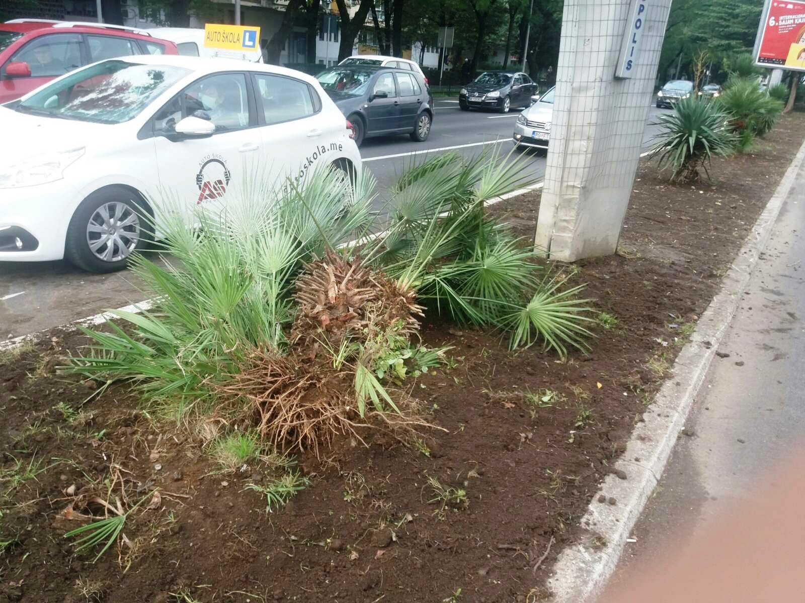 Uništeno zelenilo na Bulevaru 21. maj, apelujemo na vozače da se savjesno ophode prema zelenim površinama