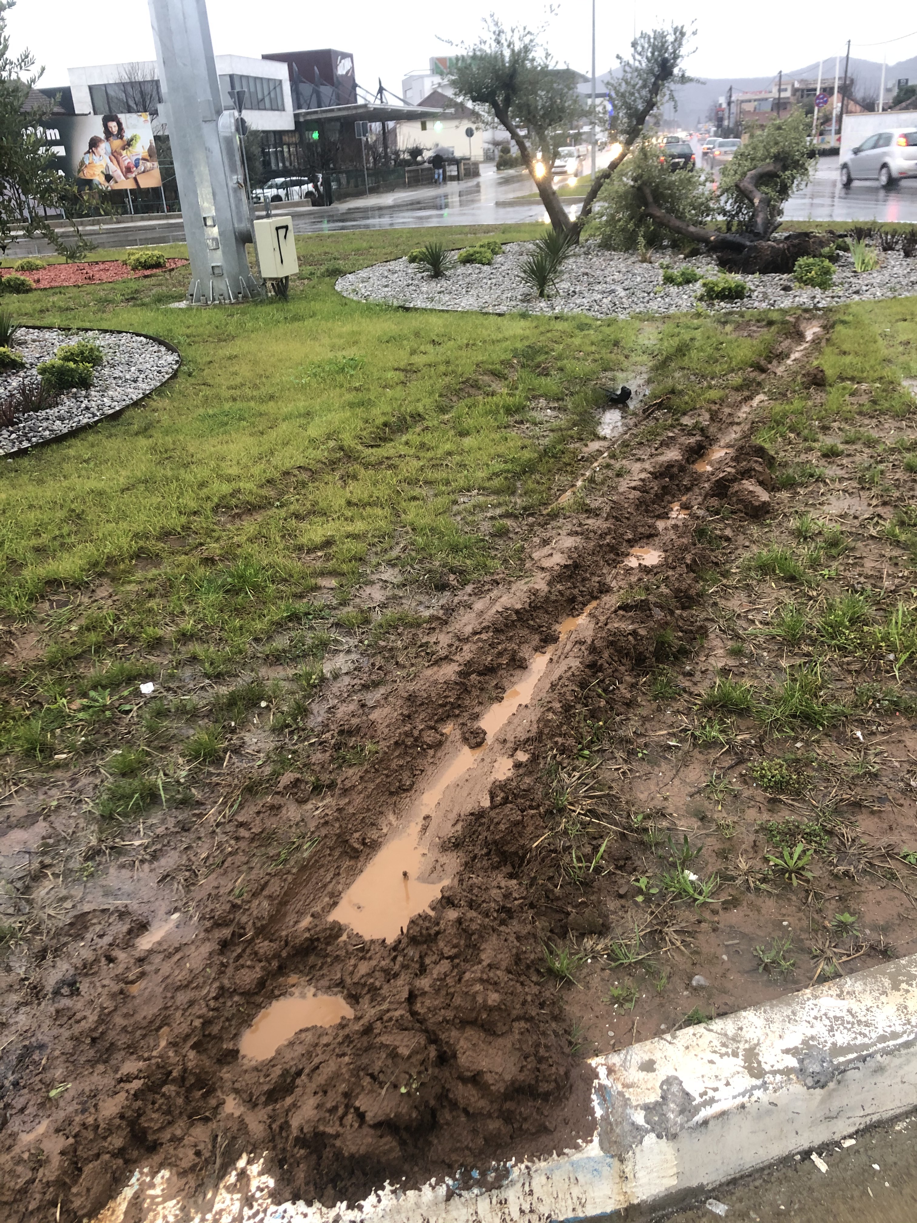Uništeno zelenilo na Bulevaru 21. maj, apelujemo na vozače da se savjesno ophode prema zelenim površinama