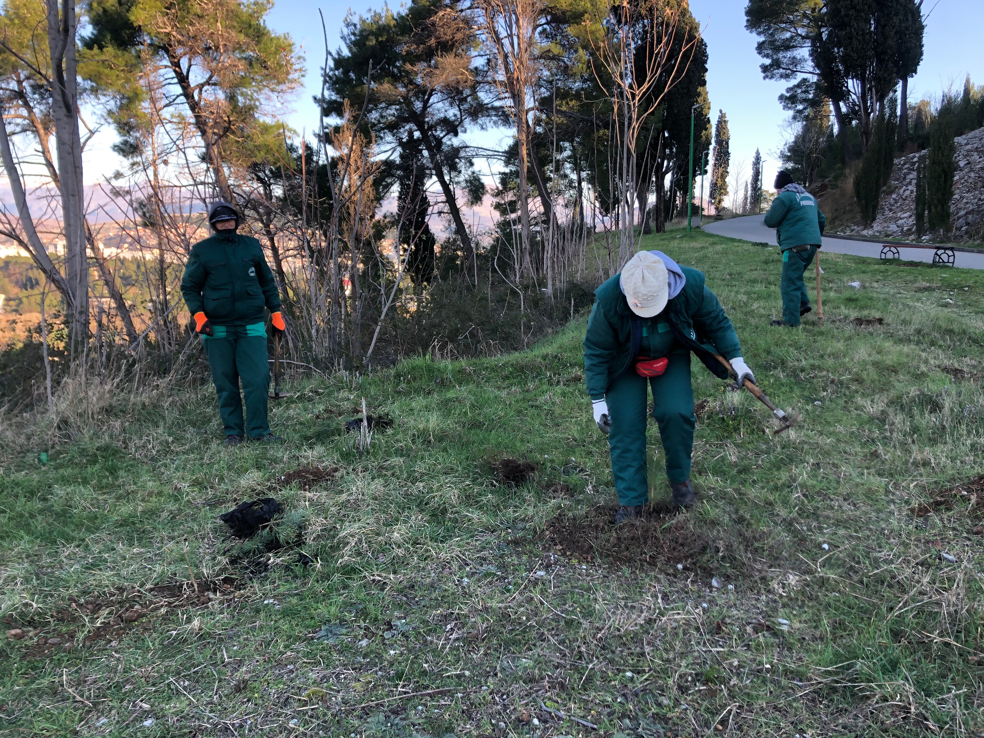Realizovana još jedna akcija pošumljavanja; Park-šuma Ljubović bogatija za 500 sadnica
