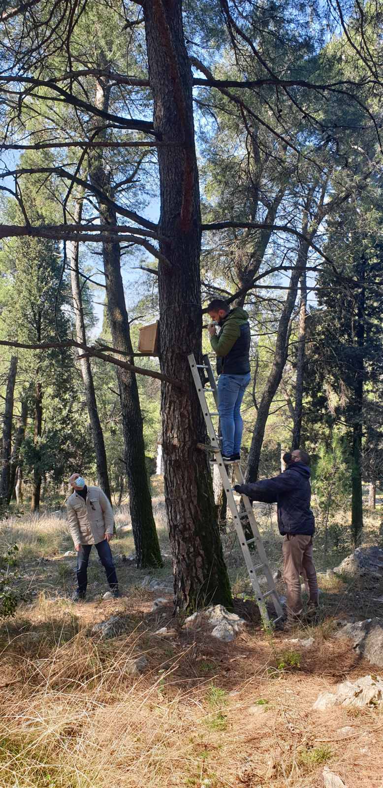 Kućice za ptice postavljene na Gorici i Ljuboviću