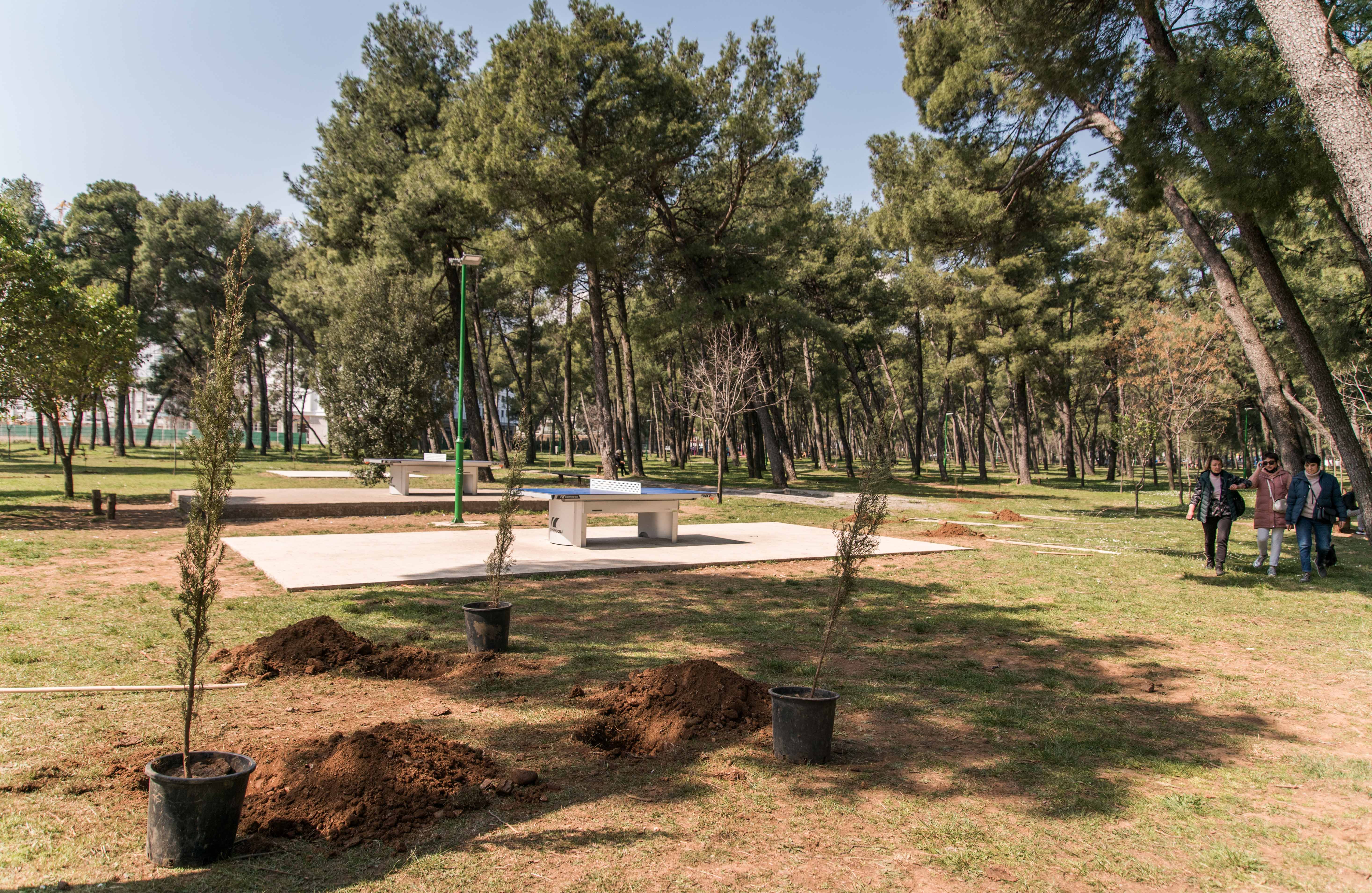 Akcija Zelenila i kompanije Telemah: Park šuma Tološi dobila još 500 novih sadnica