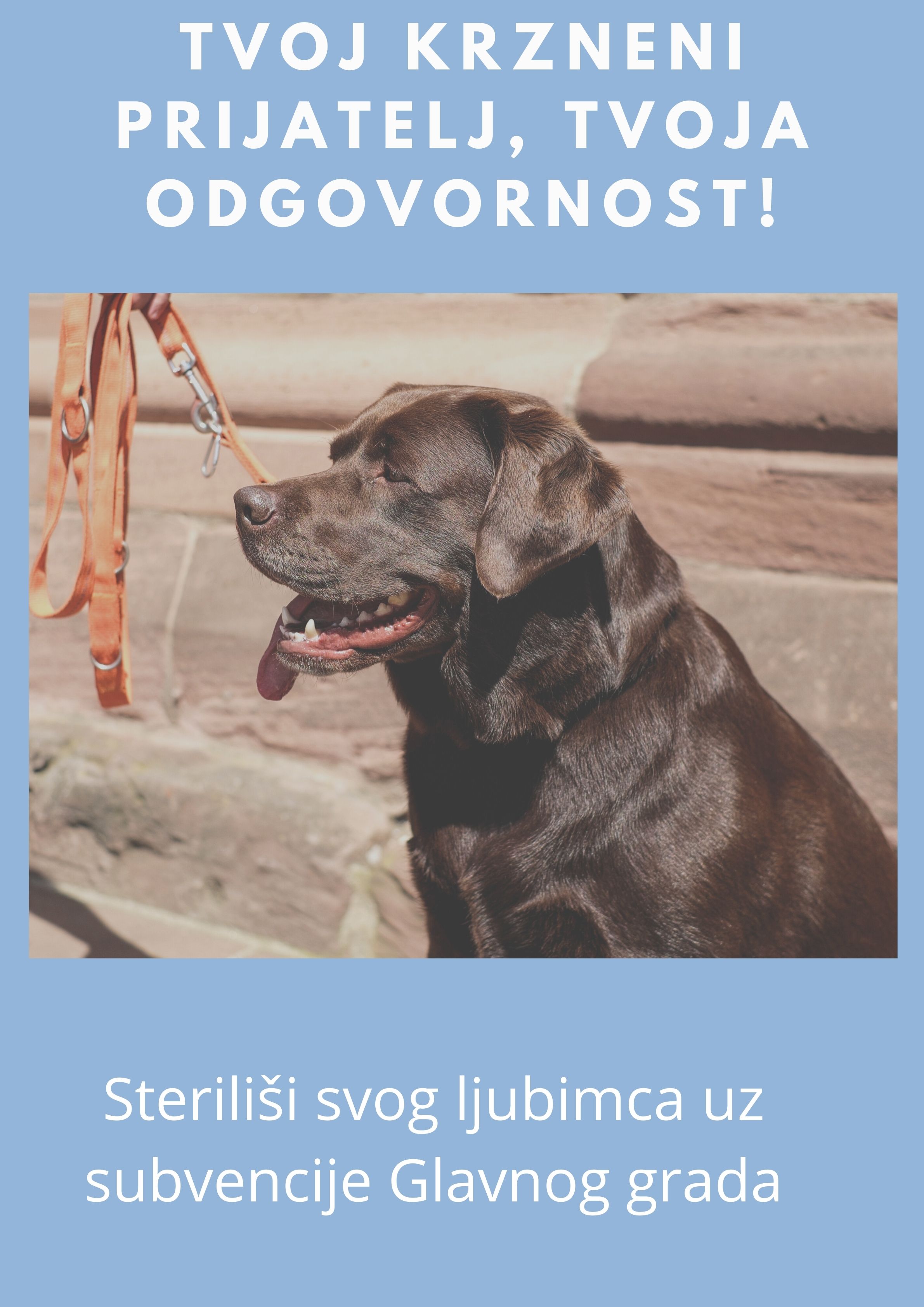 Završen prvi ciklus subvencioniranja sterilizacije vlasničkih pasa