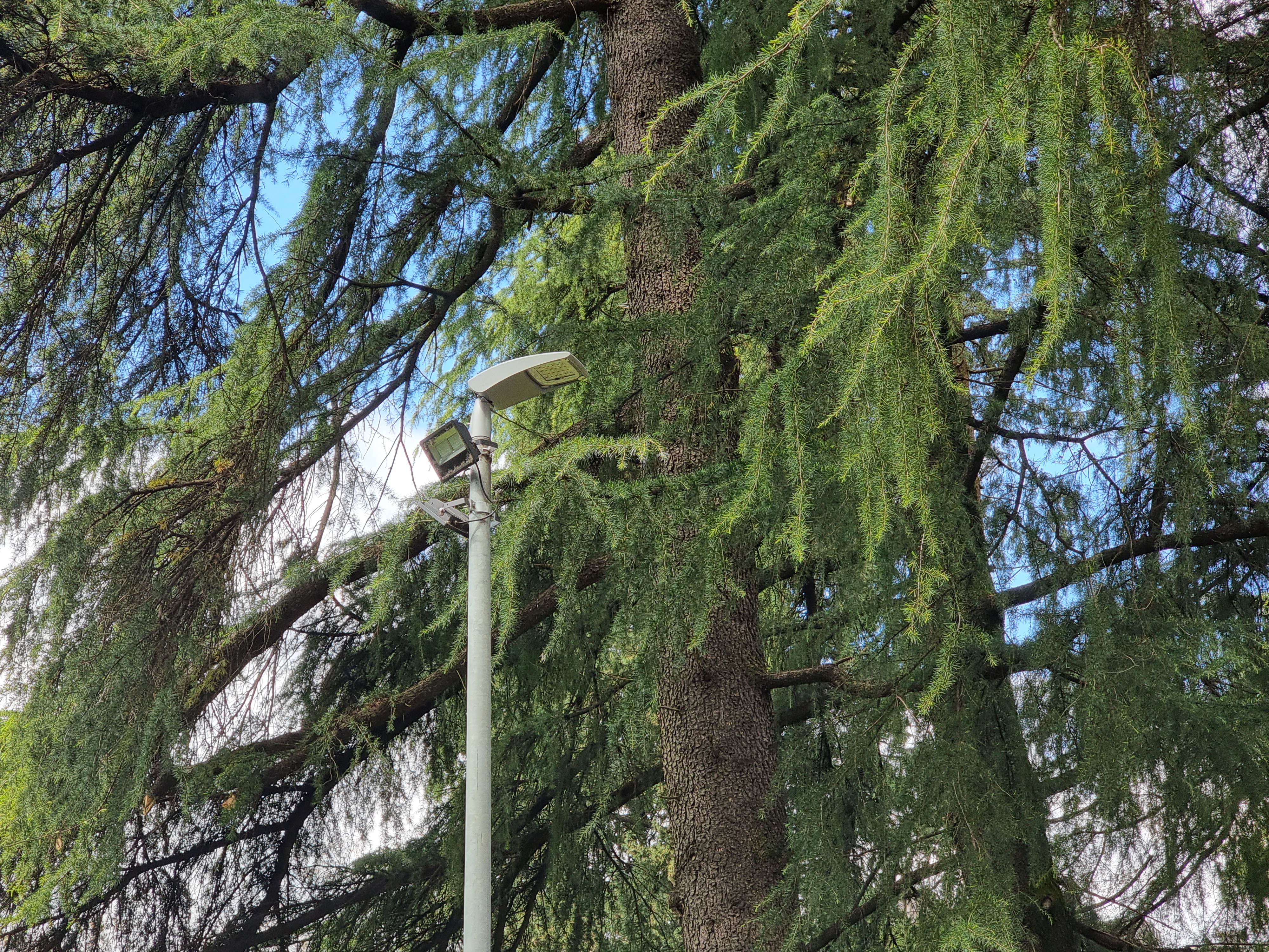 Nova rasvjeta u Beogradskoj ulici