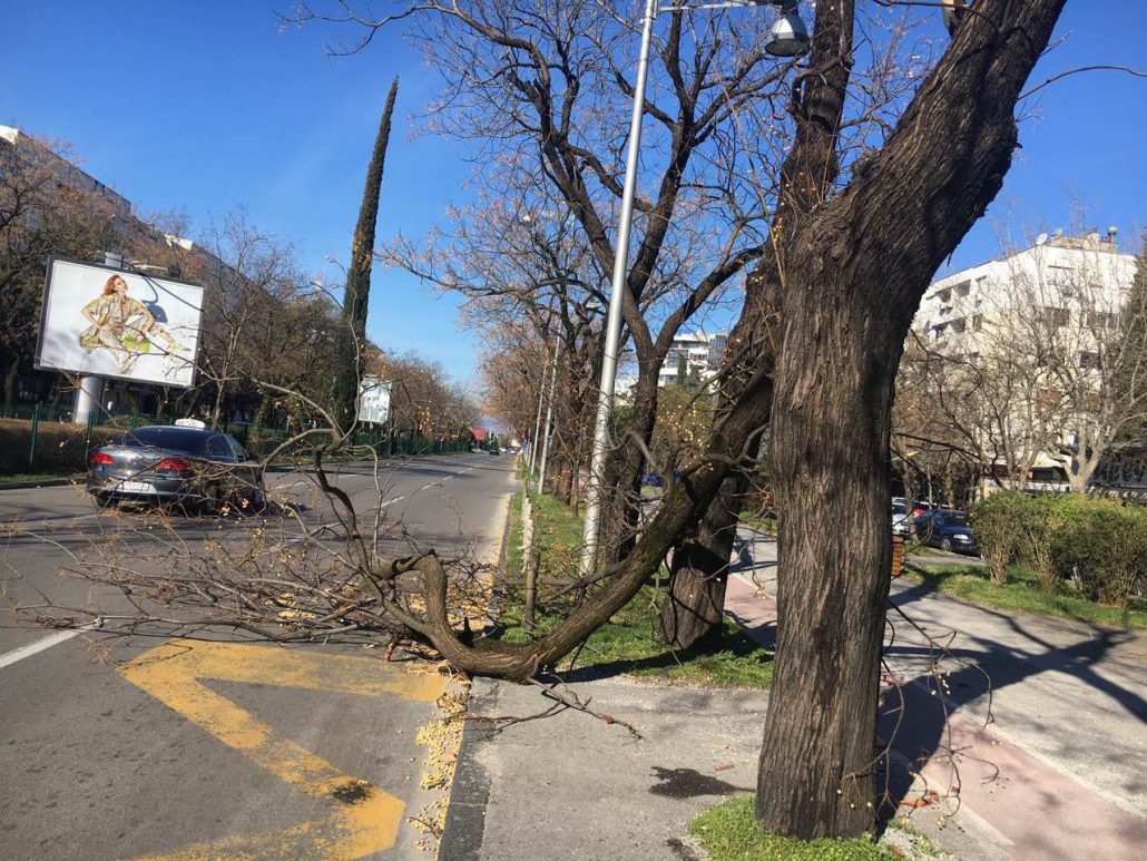Sve nadležne gradske službe od ponoći rade na otklanjanju posljedica nevremena u Podgorici